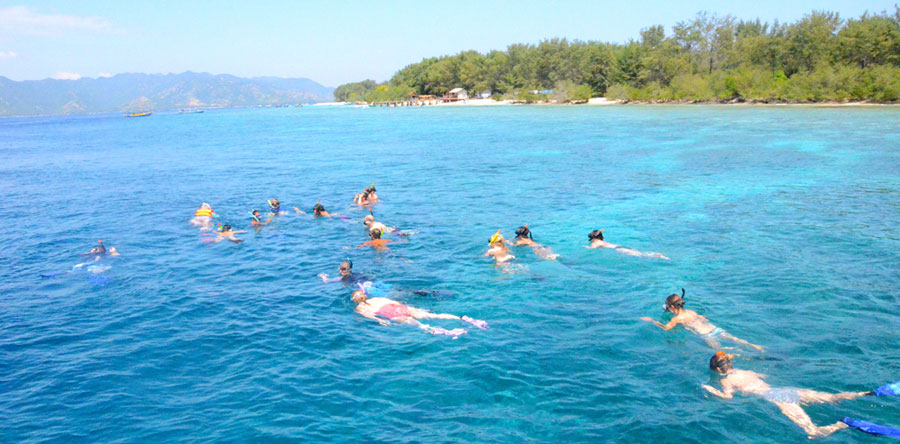 Snorkeling di sekitar Gili Trawangan