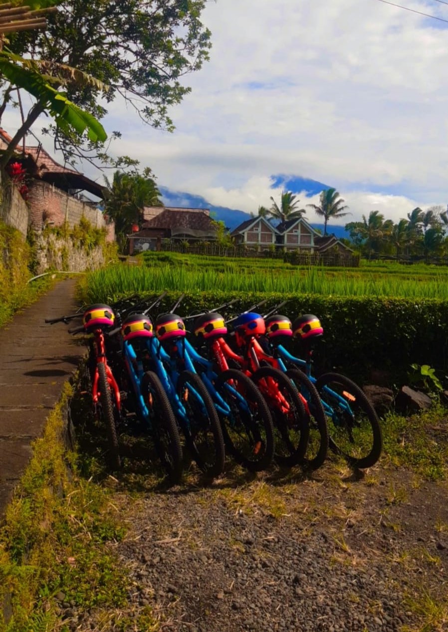Tersedia Sepeda Tetebatu