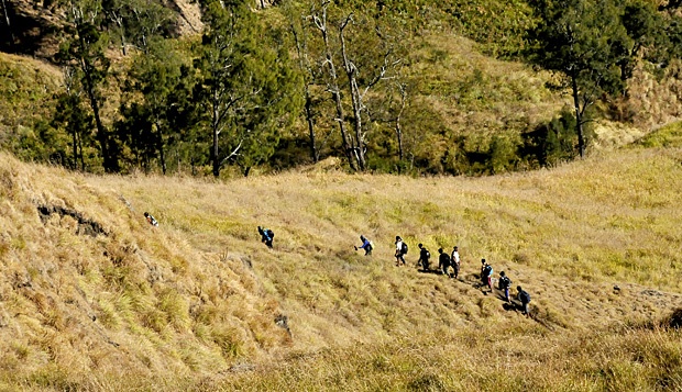 Salah satu pemandangan pendakian Gunung Rinjani melalui jalur Torean, Lombok. Tidak banyak pendaki lewat jalur ini