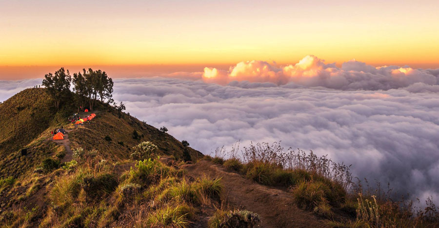 Location, Plawangan Sembalun an altitude 2639 meter National Park Of Mount Rinjani