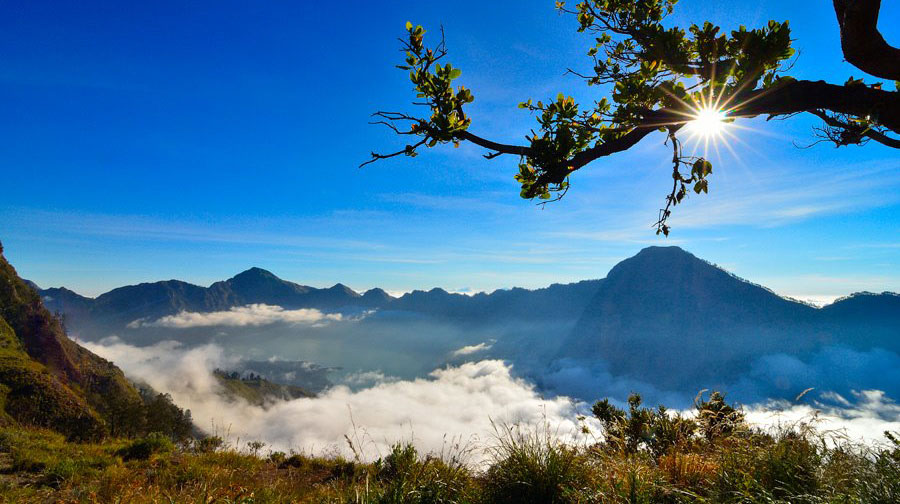 Plawangan Sembalun Crater Rim altitude 2639m of Mount Rinjani
