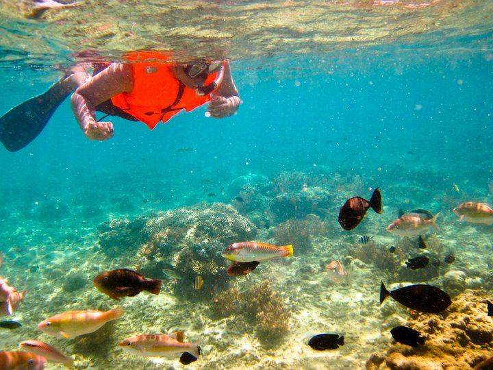 Underwater Gili Nanggu