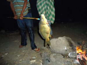 Grilled fresh water fish BBQ by Lake Segara Anak