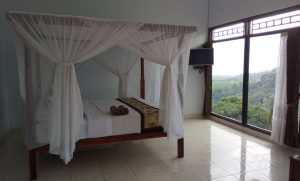 Hotels and restaurant accommodation in Senaru